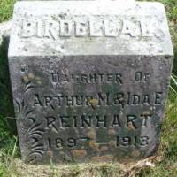 Birdella L REINHART
