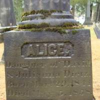 Alice DIETZ